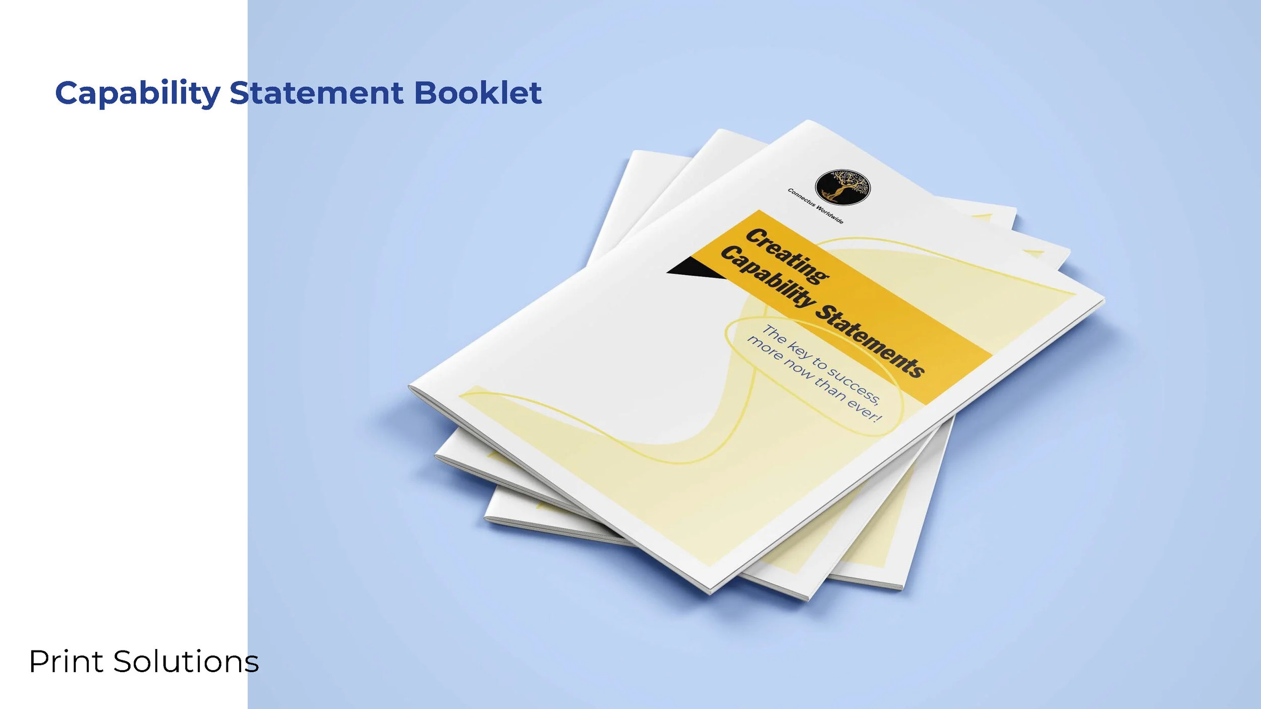Connectus World Wide –Presentation_Page_12.jpg
