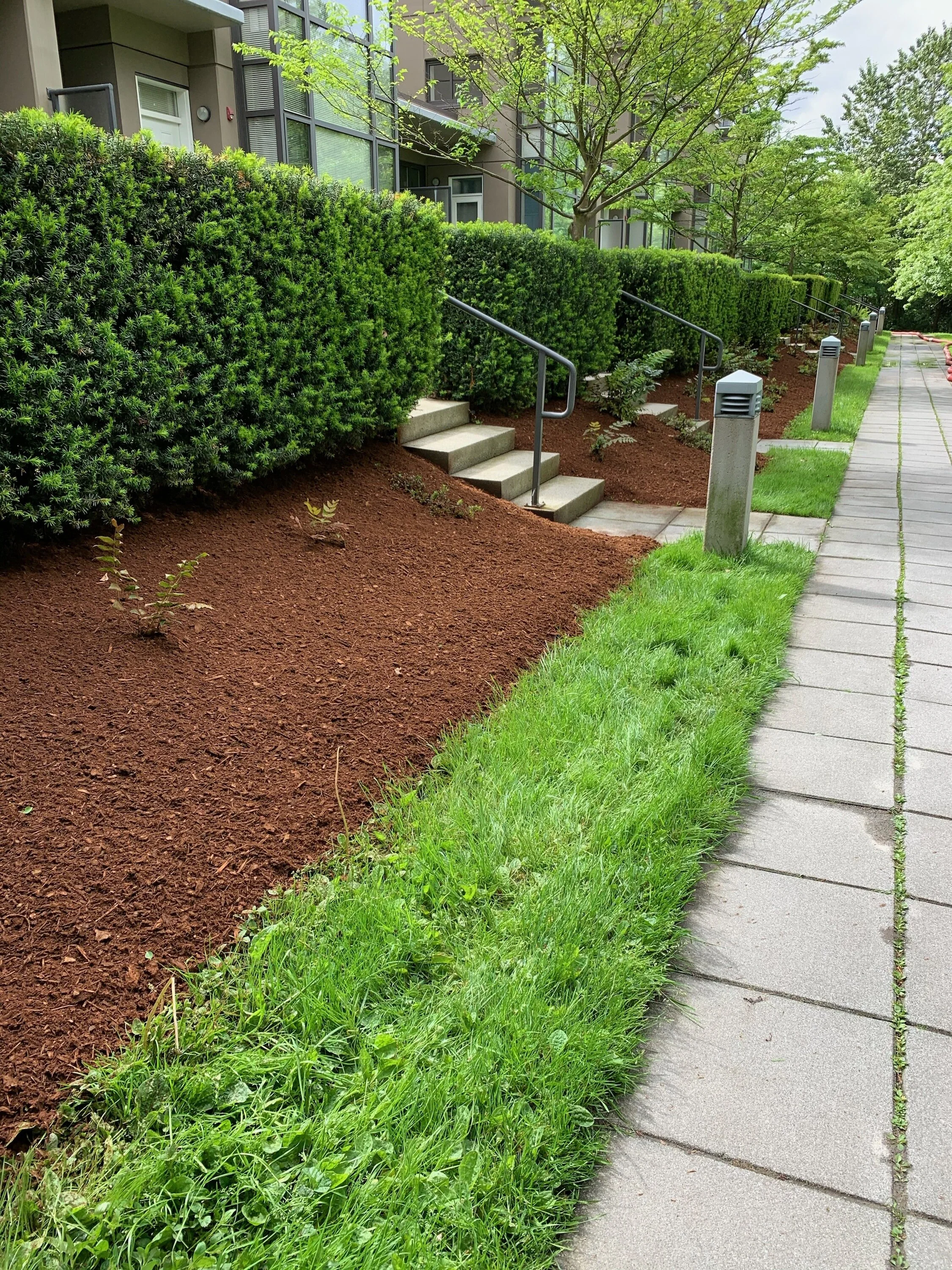 pacific landscaping ca on Pacfic Bark Blowers Inc