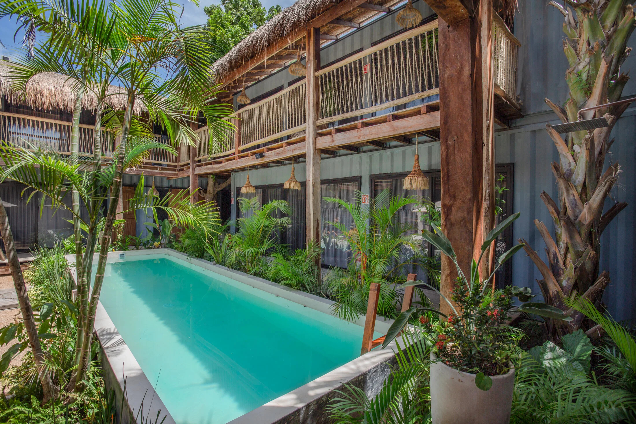 pool area surrounded by plants in Meteora Stay & Coffeehouse - best Tulum hostels