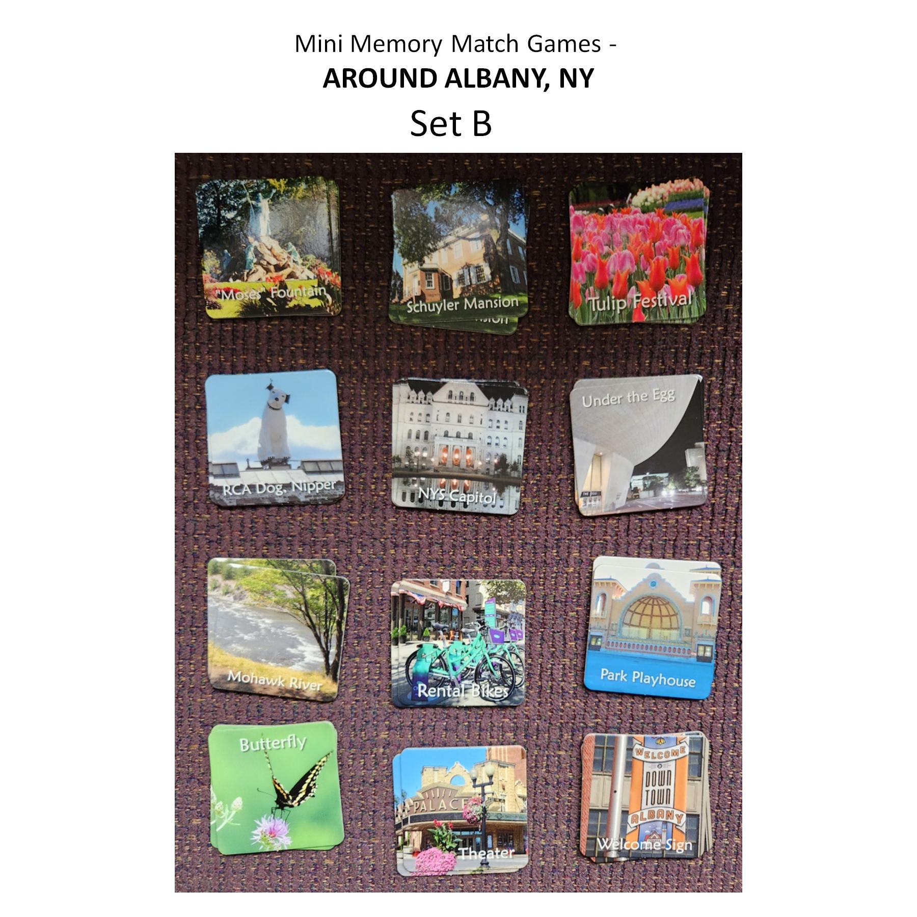 Mini Mem.Match - Square.Albany.B.png