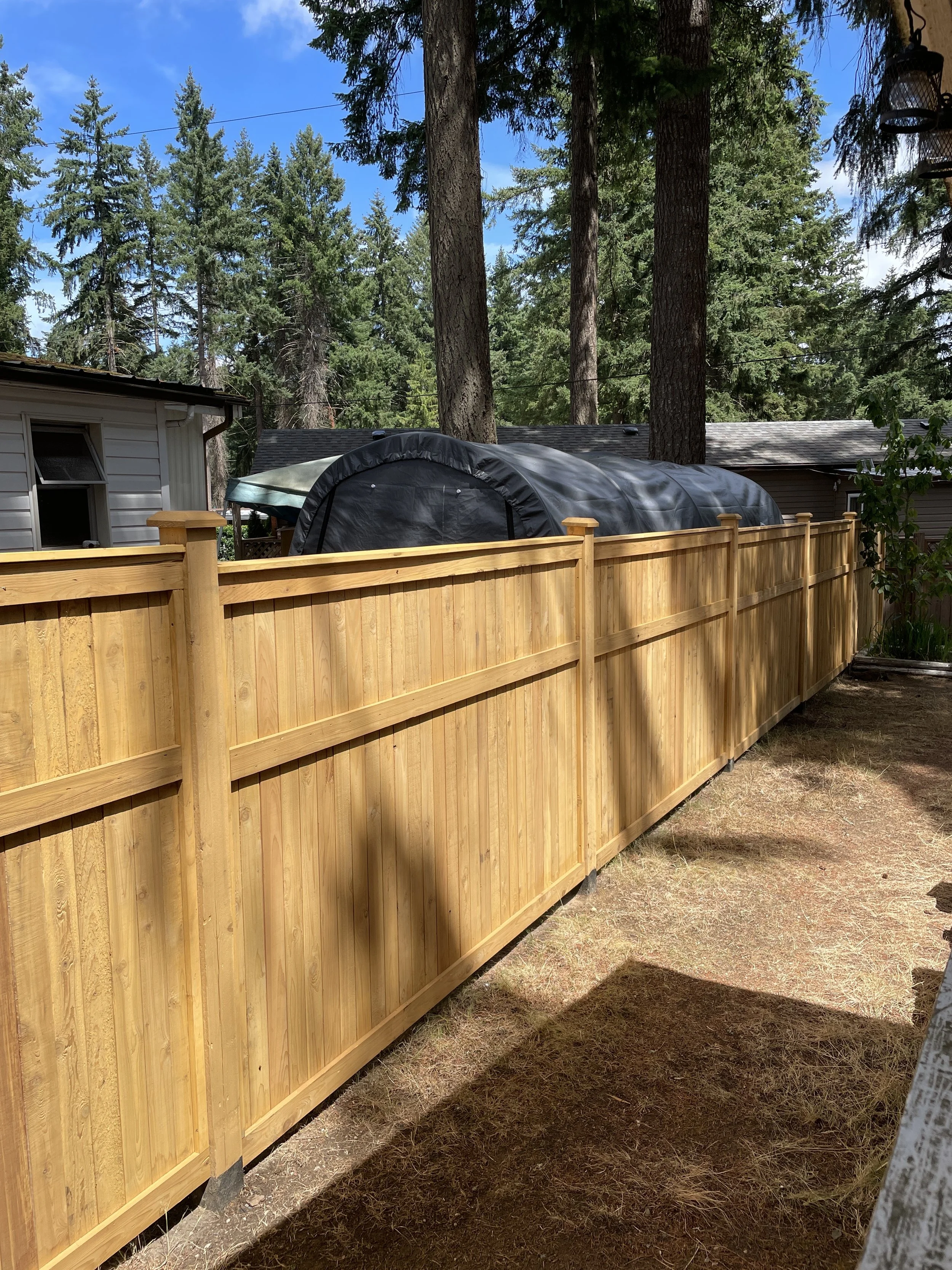 Fence Panels- July 10th 2025.jpg