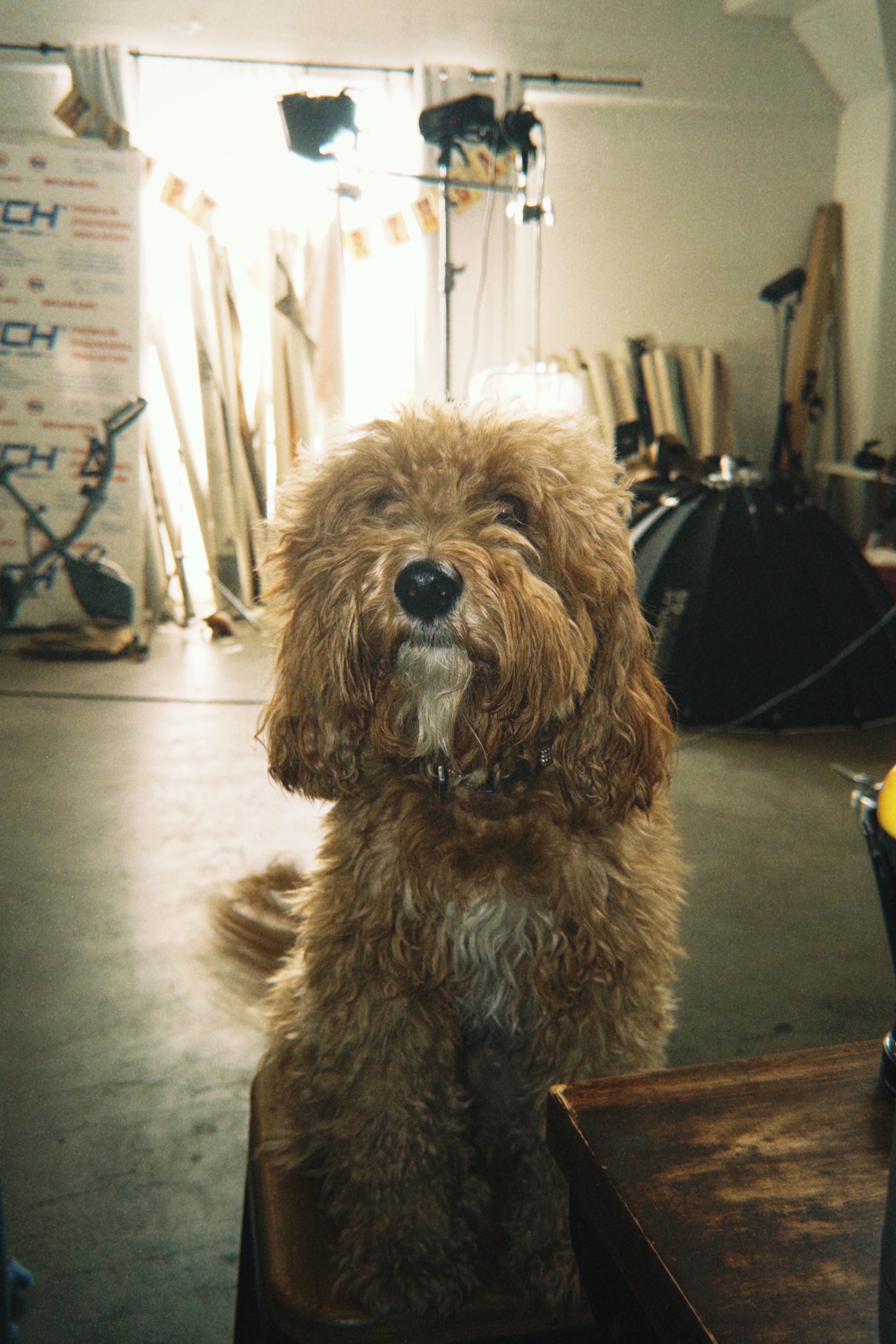 IMG_0933 Amanda Gallace.jpeg