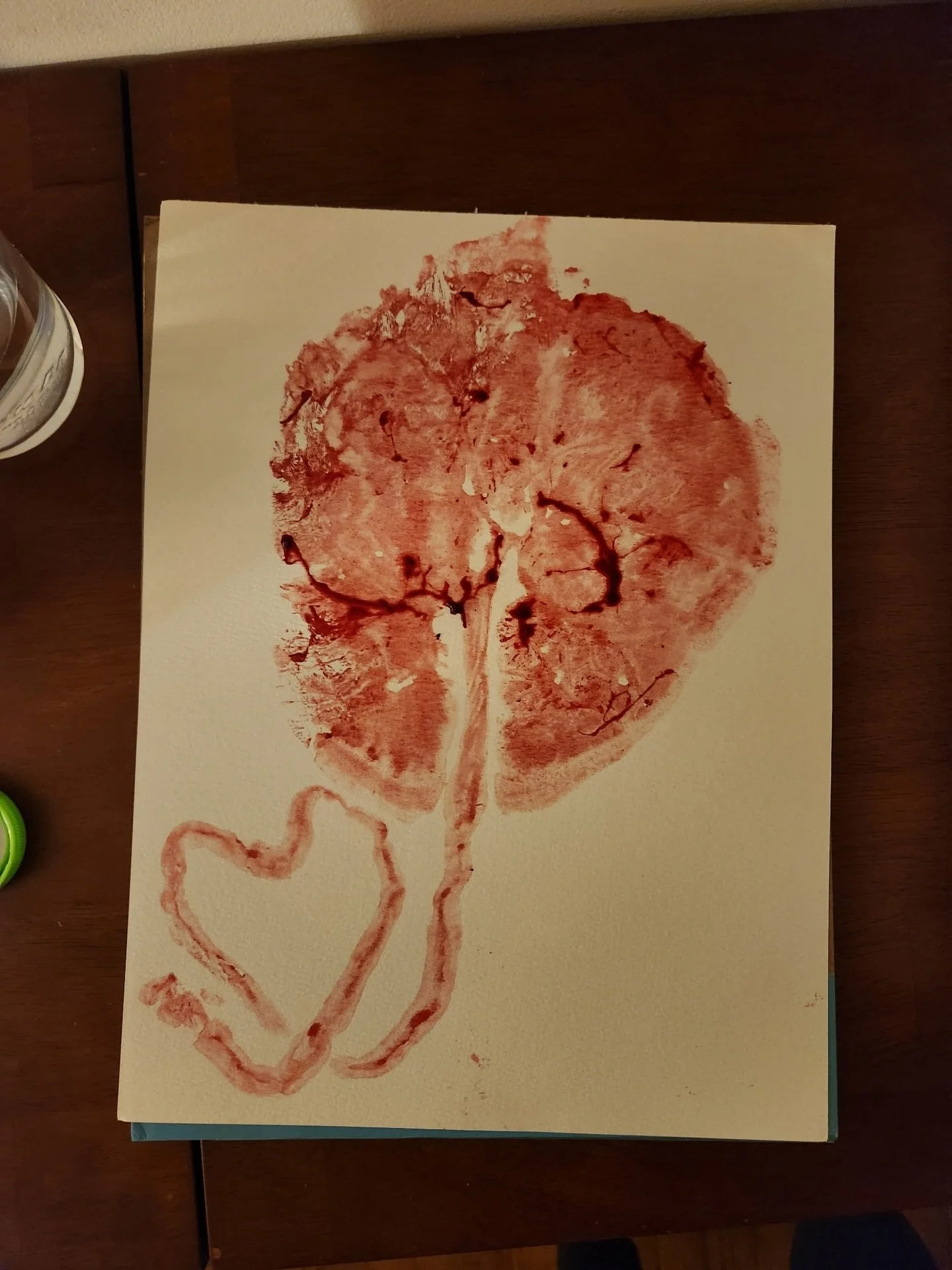 Best way to have a blizzard baby: Live 10 minutes away from your midwife and then do it in under 3 hours. Much easier for the midwife to drive in labor than the person contracting! Poof! Done! Family, baby, and midwife all safe and sound. #midwives #