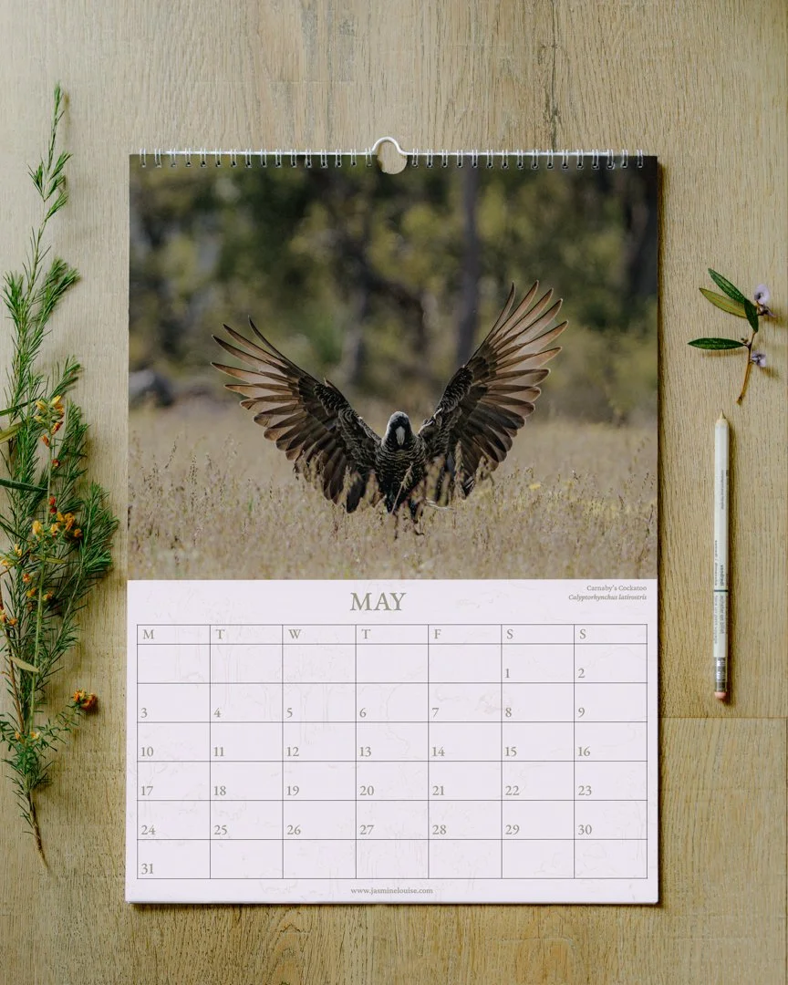 MAY.JPG