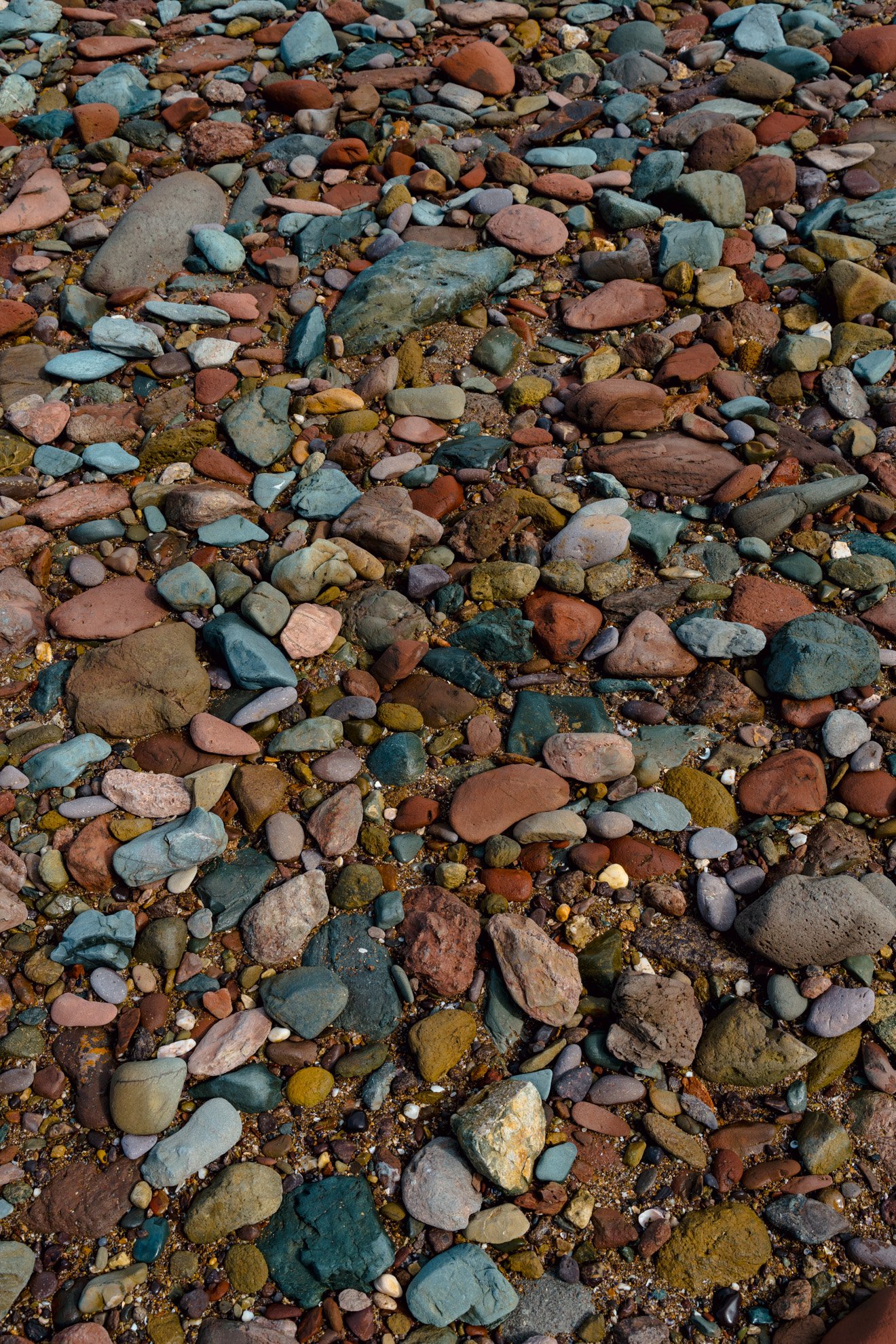 20230903_AvoidIsland_353.jpg
