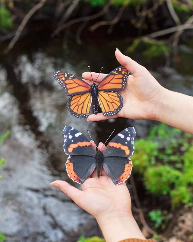 The shop is sold out! WHAT!? This is the first time in 2 years that I've had an empty shop.  You lepidopteran loving people are the absolute best!  I'm working on some pieces now and am hoping to have a smaller update in mid-July!

In the meantime, I