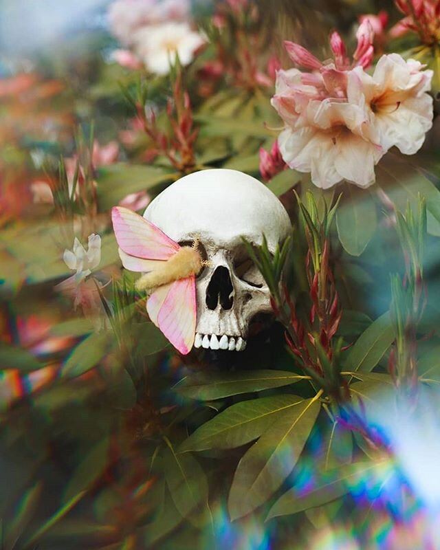 Definitely felt a little weird taking this replica skull to a local garden... I'm would love some show or podcast recommendations to watch/listen to while working on my textile sculptures.  I'm interested in fantasy, nutrition, health, and science.

