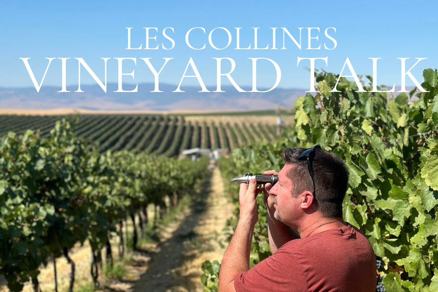 Les Collines Vineyard Talk (Tacoma)