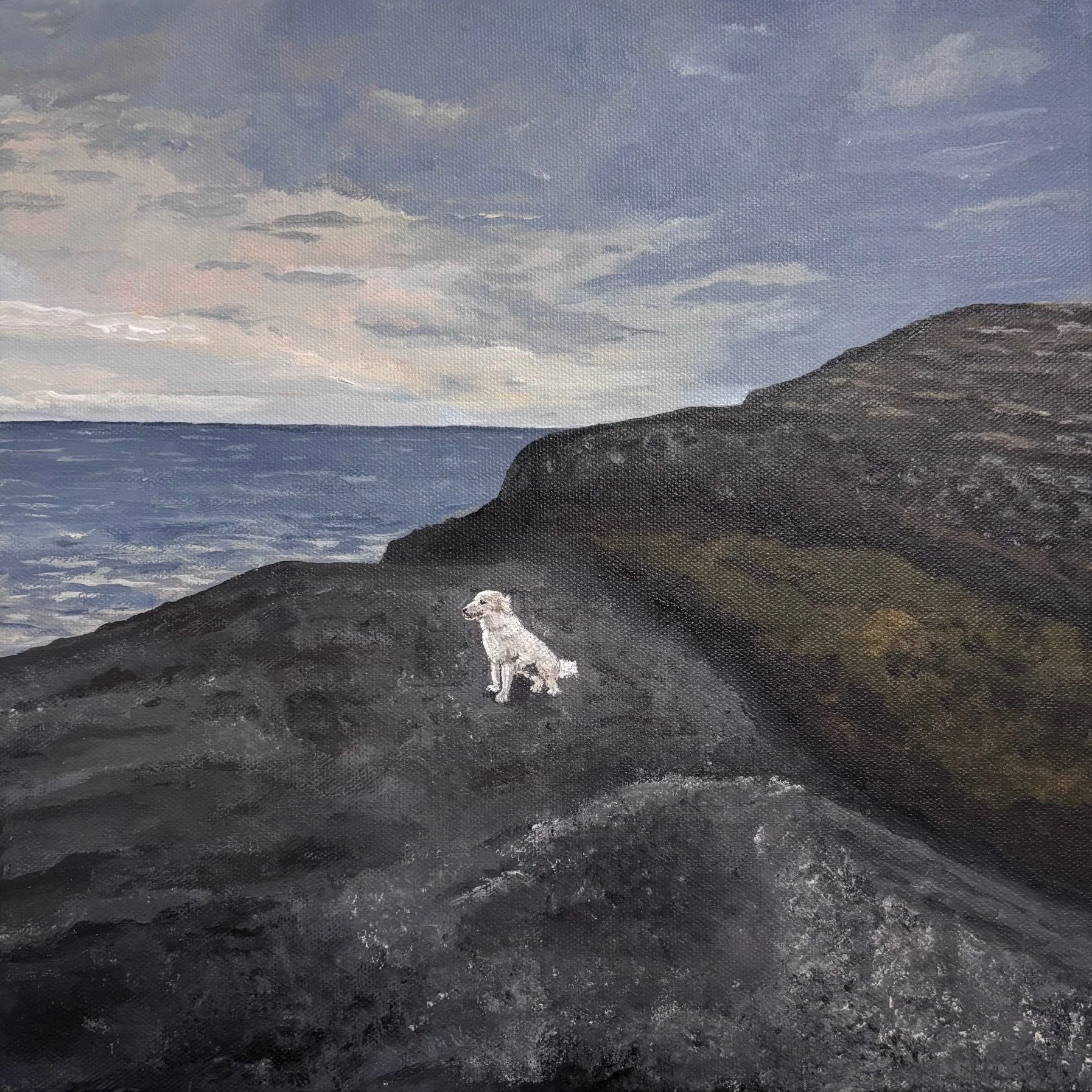 Gentle Companion (May 2026)