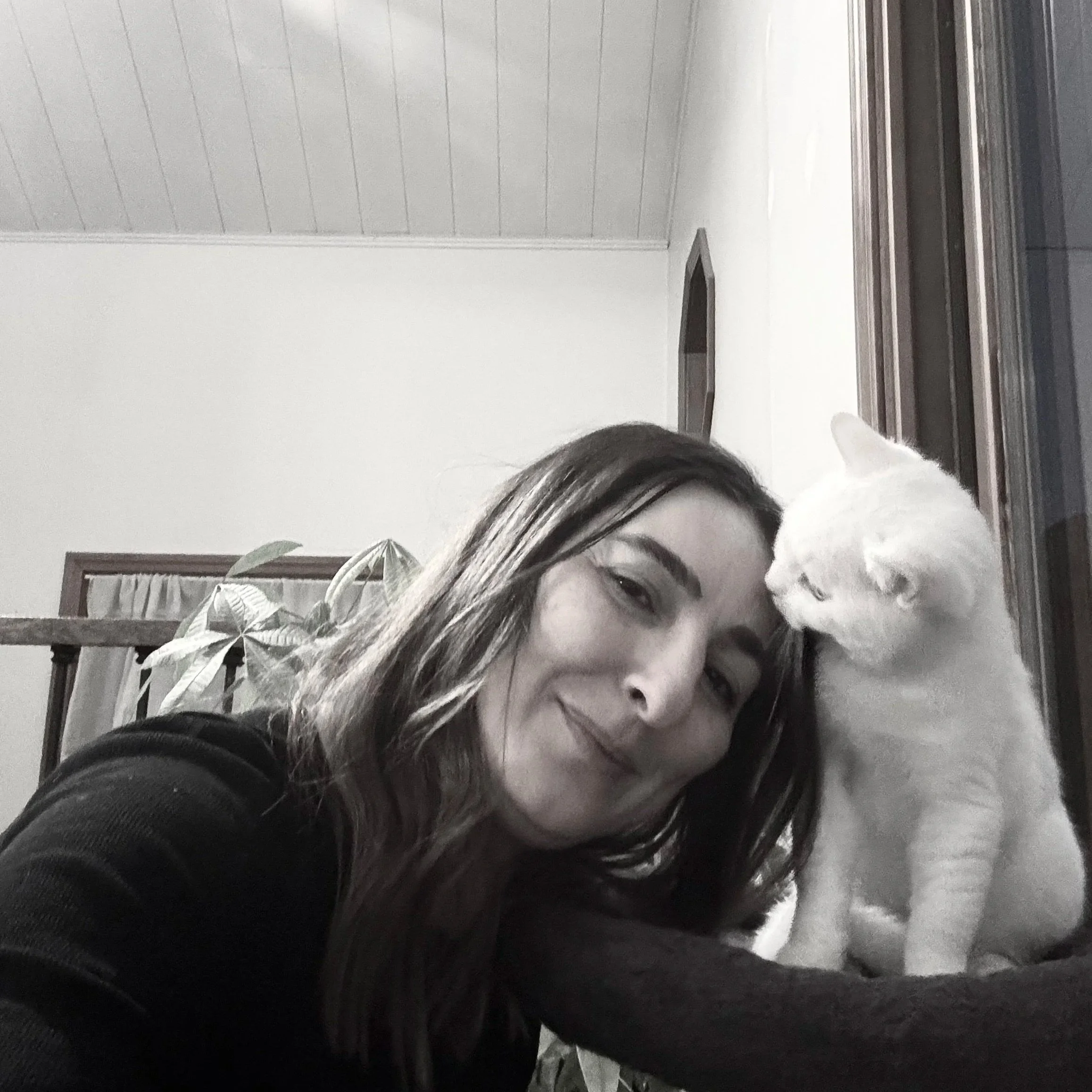 Artist Daniela Milinkovich of My Artist Soul with new kitten Bruce Springsteen Ulbrich