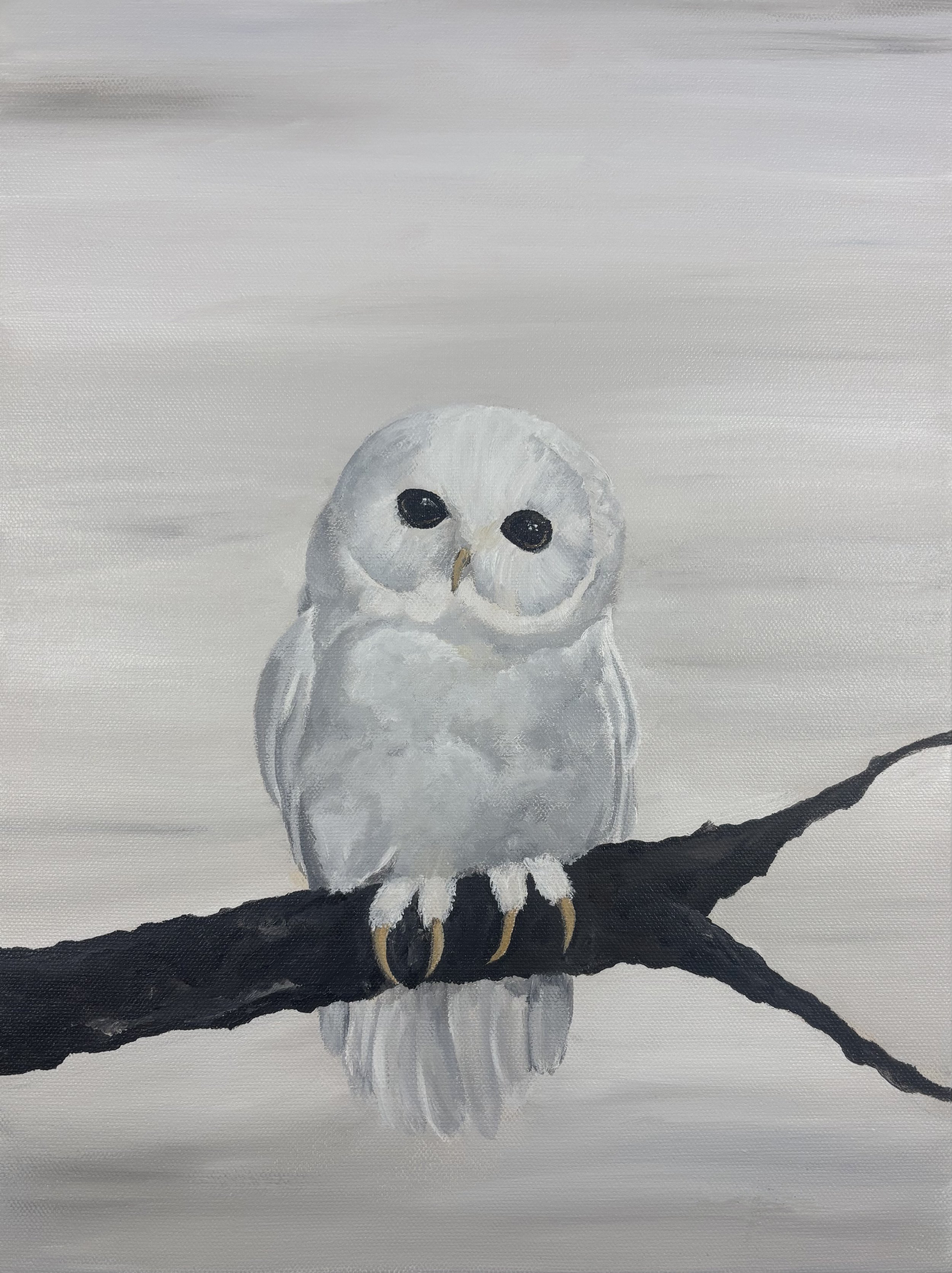 Painting of a white owl sitting on a black branch against a gray and white background.