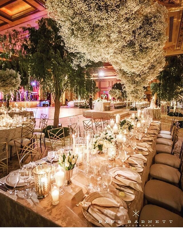 A stunning capture from last weekend wedding of @flowersannettegomez&rsquo;s clouds of Babies Breath where we provided the perfect touch of pinspot lighting on each cloud. Also we provided tear drop twinkle lights on the trees, soft amber uplighting 
