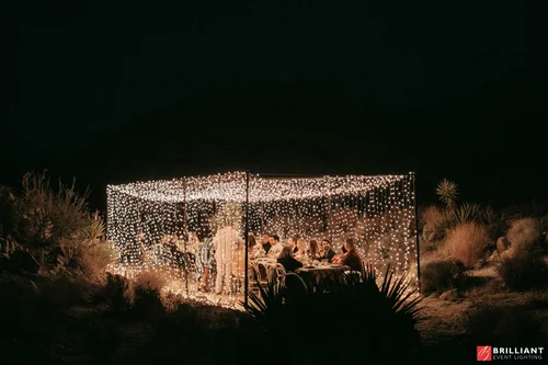 Twinkle lights canopy reception