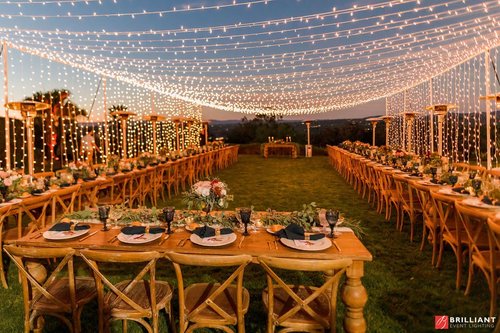 Twinkle light canopy outdoor wedding