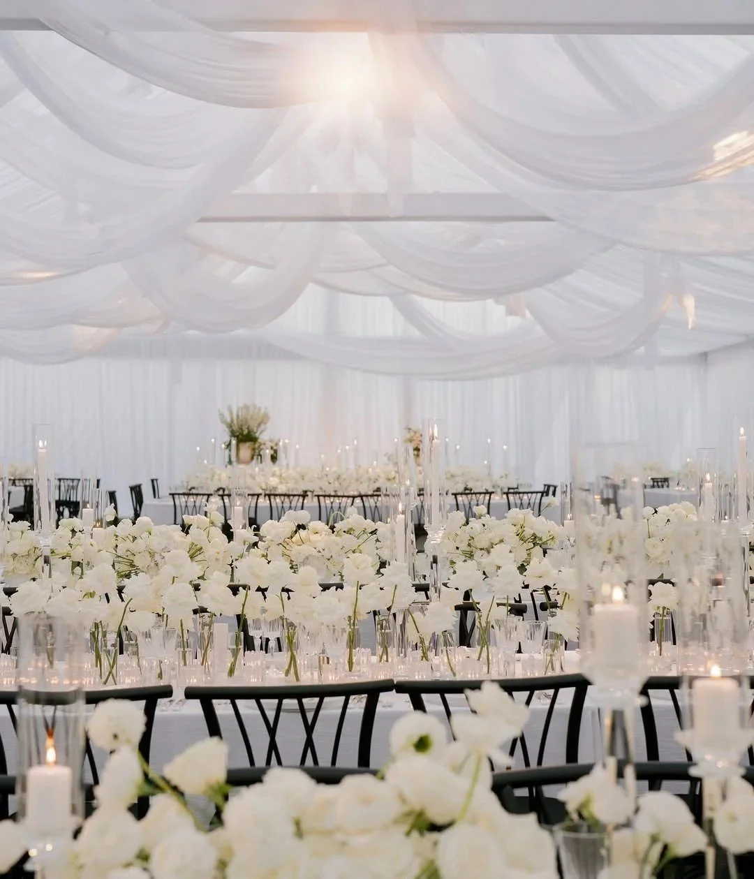 white-ceiling-draping-san-diego-wedding.jpg