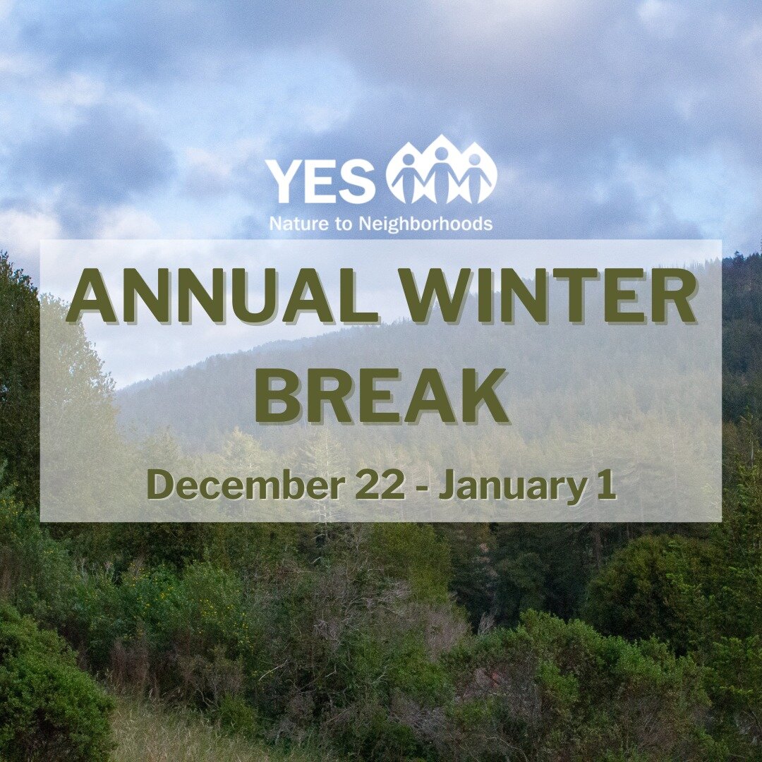 Starting today, the YES office will be closed for our annual winter break to give staff a chance to relax and reset in preparation for the new year. We look forward to coming back on 1/2/2024 ready for more great adventures 🎉

For any questions rega