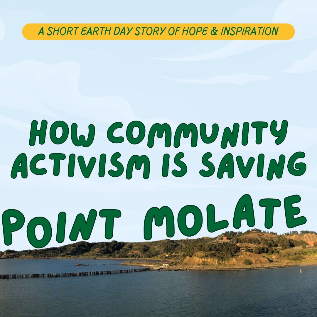 The story of Point Molate--an area of more than 400 acres spanning ridgeline to shoreline, tucked into a far corner of our city--is one of hope and community power. It's a reminder of what's possible when people from all different backgrounds band to