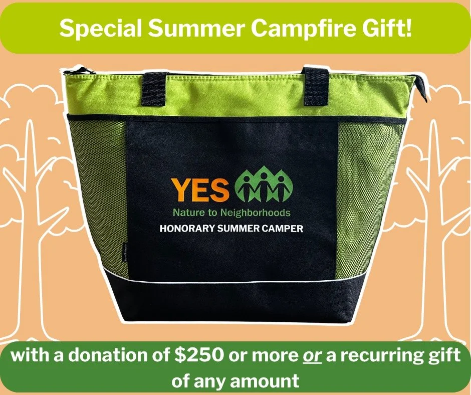 🔥 Summer Campfire Giveaway &amp; MATCH DAYS! 🔥

Support YES summer camps by starting a recurring gift of any amount, or by making a donation of $250 or more, and we&rsquo;ll send you this exclusive Honorary Summer Camper cooler tote! 🏕️💚 Perfect 