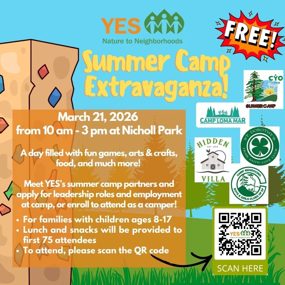 Summer Camp Extravaganza