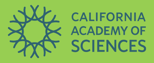 Screenshot 2025-04-03 at 5.25.10 PM.png