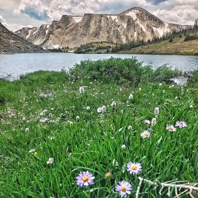 I&rsquo;m not jealous of the mountains, it&rsquo;s just that they&rsquo;re a little cooler.