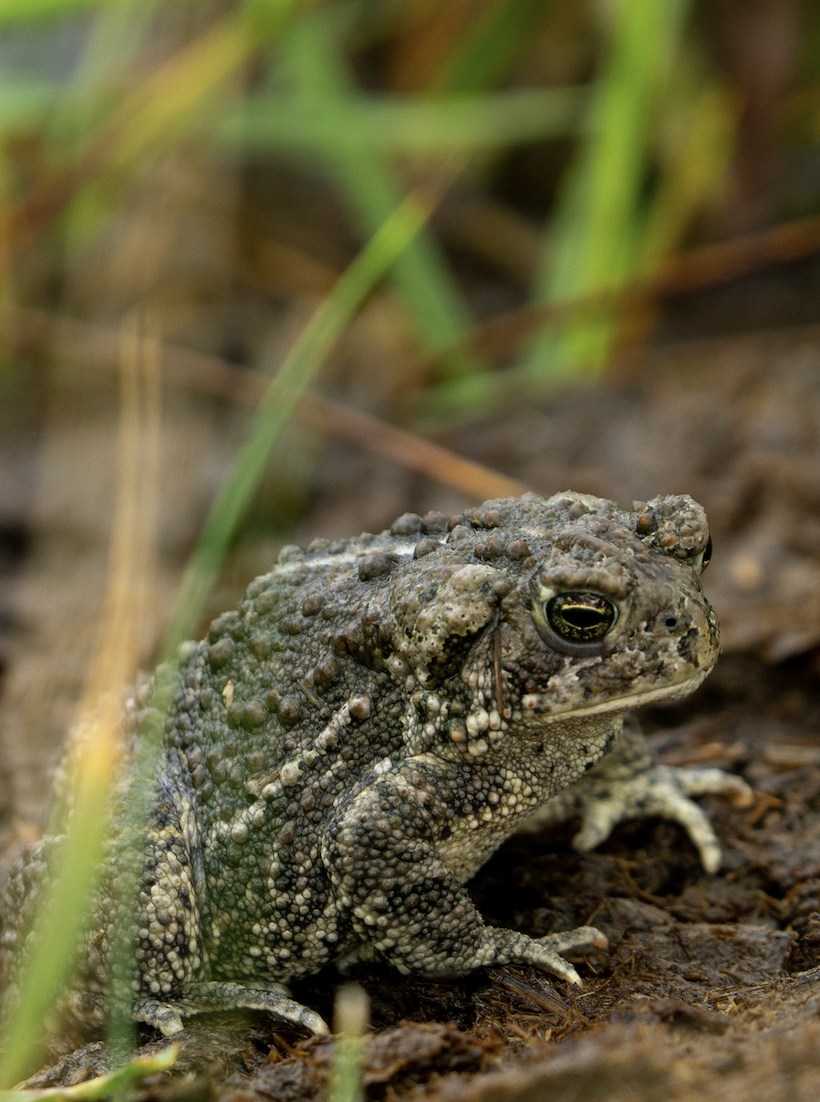 Screenshot 2026-02-23 at 1.41.40 PM.png