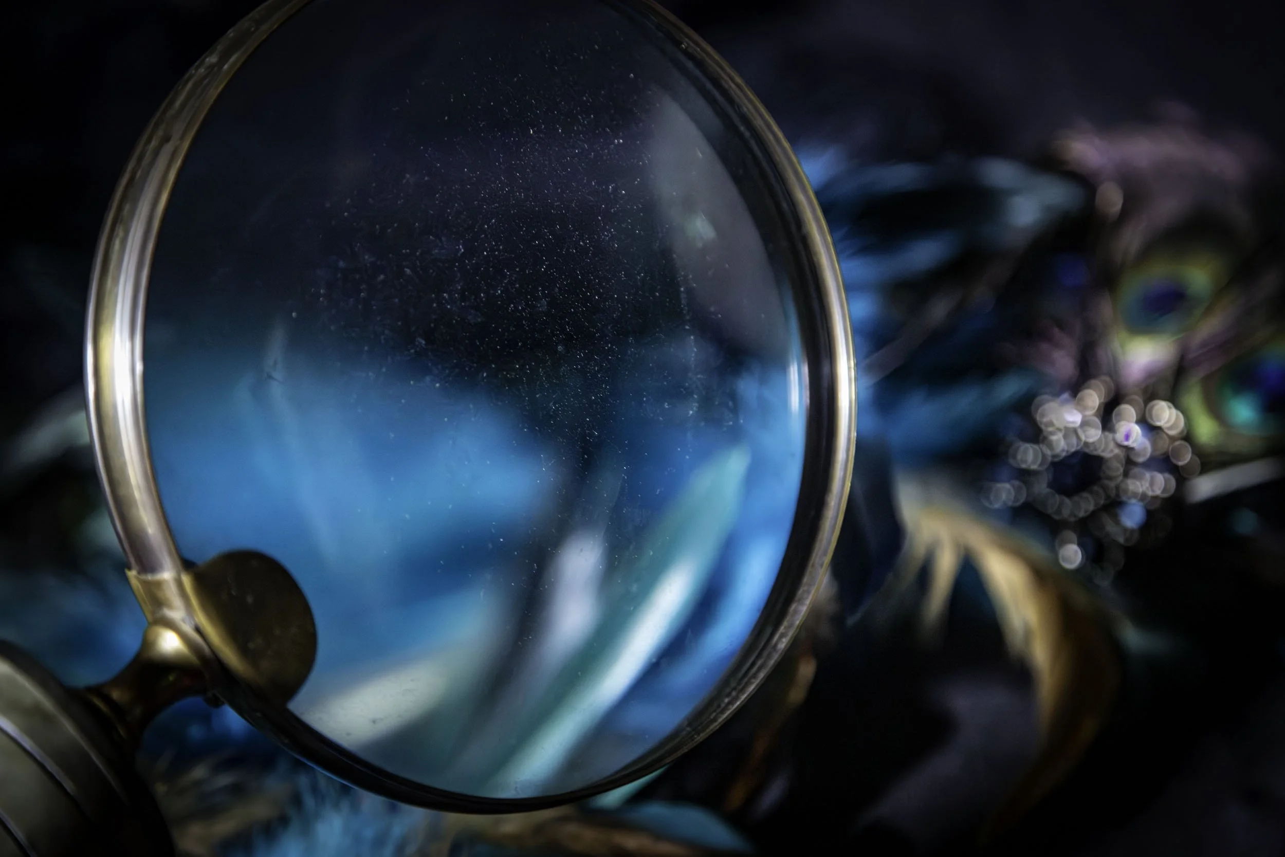 3L5A9529 1 MAGNIFYING GLASS FEATHERS copy.jpg