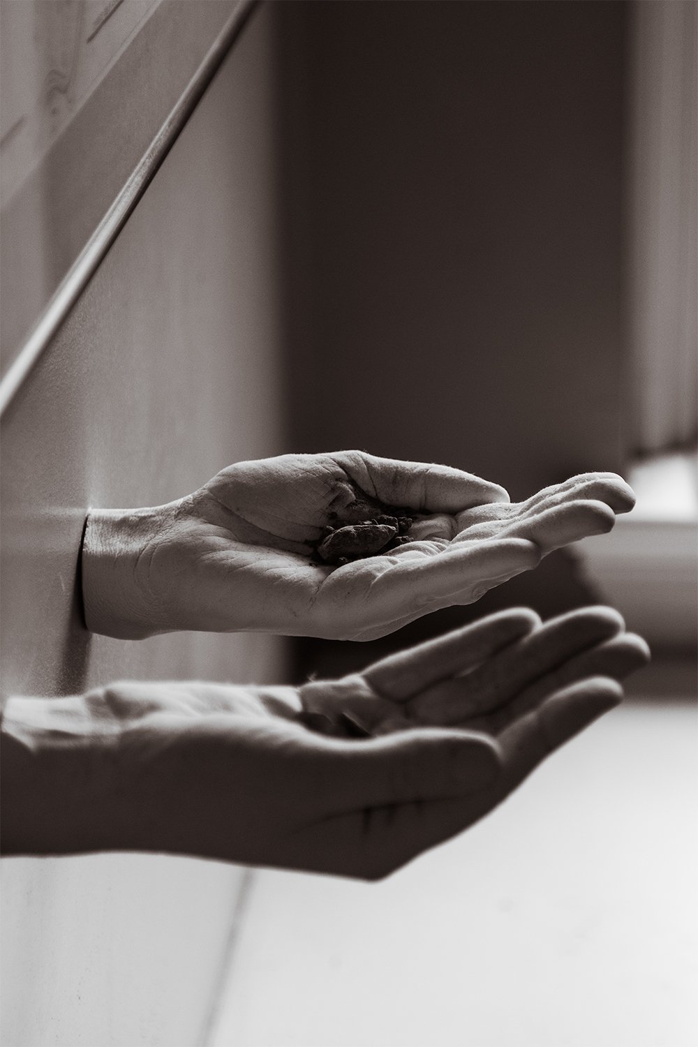 hands