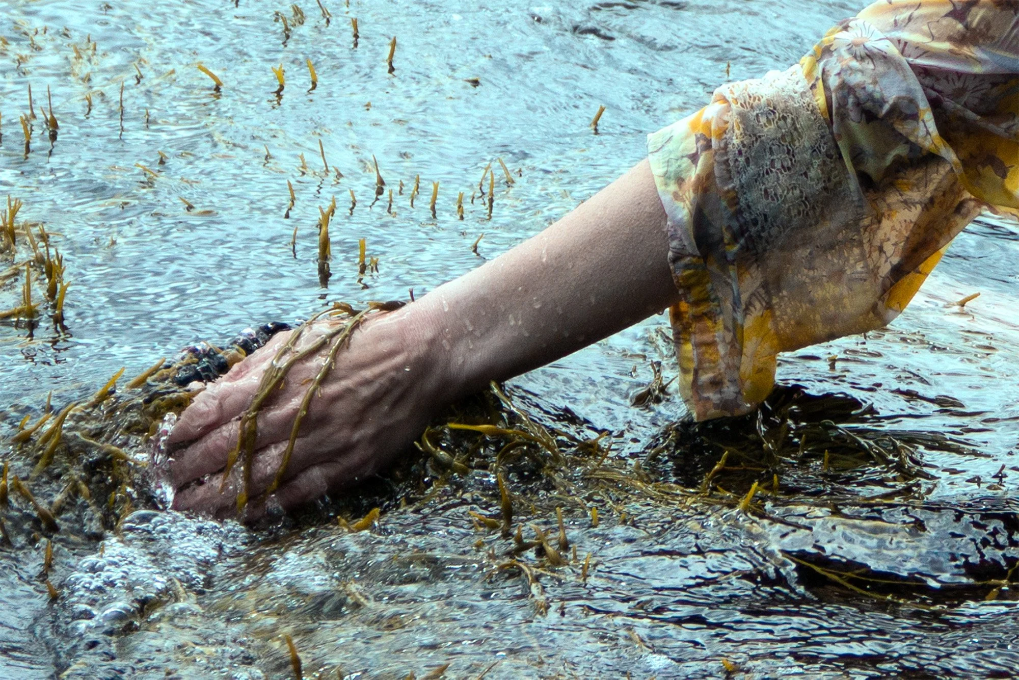 ophelia's hand 