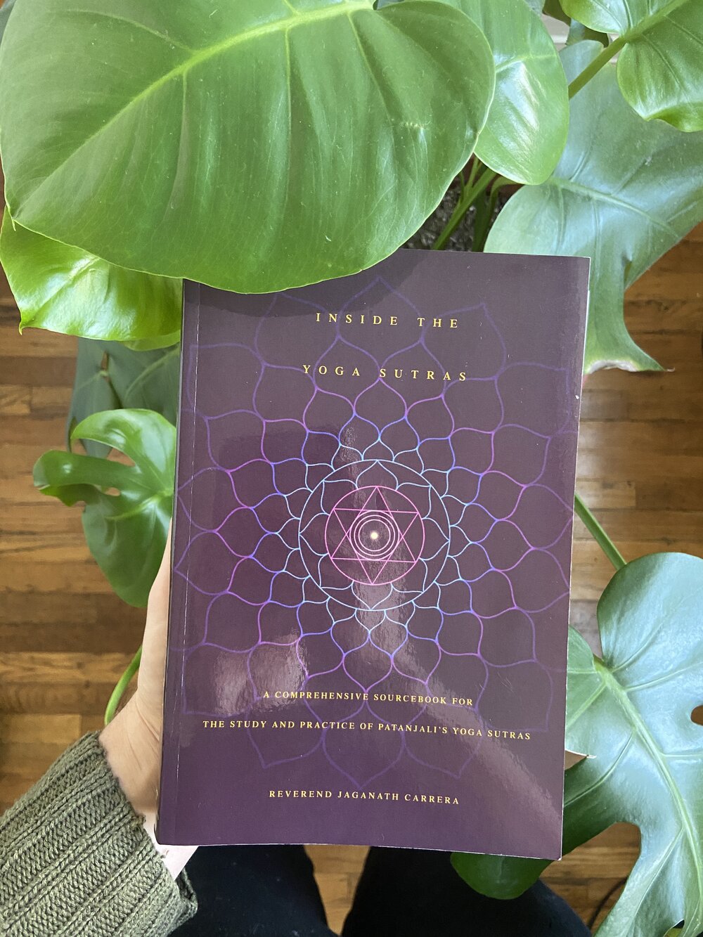 Virtual Book Club: Inside the Yoga Sutras — Mamapriya Yoga