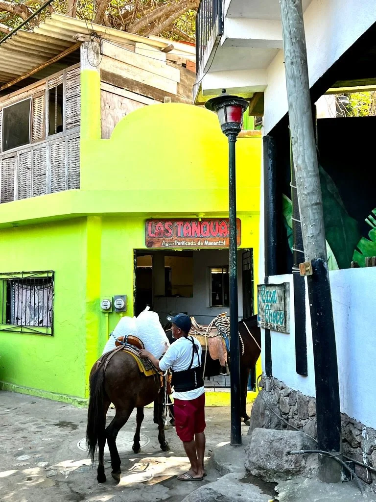 image5.jpg