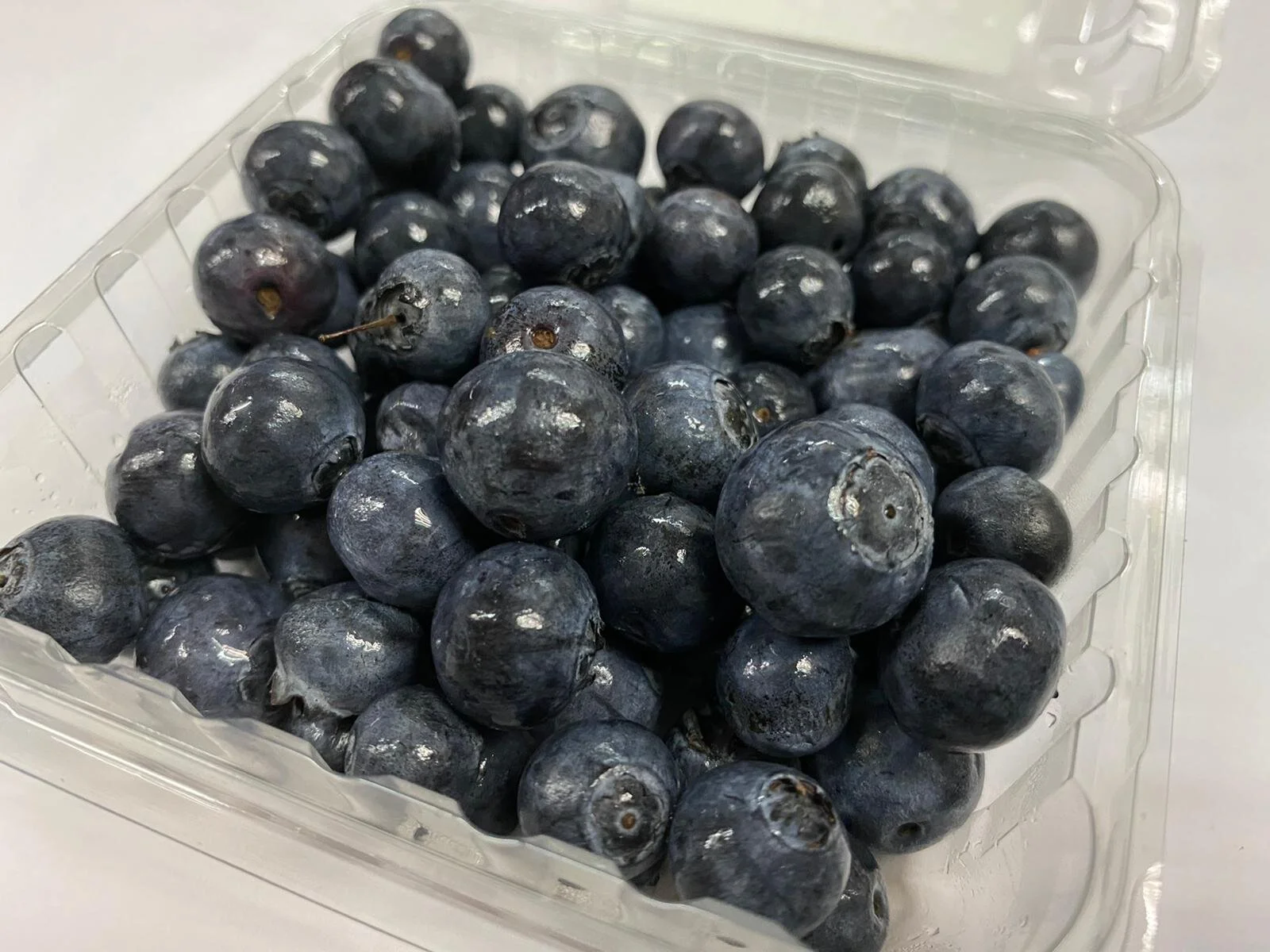 Blueberries from —