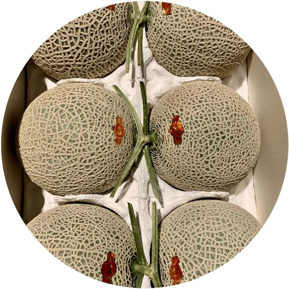 Premium Japan Musk Melon A Grade (Preorder Estimated Arrival 1.5