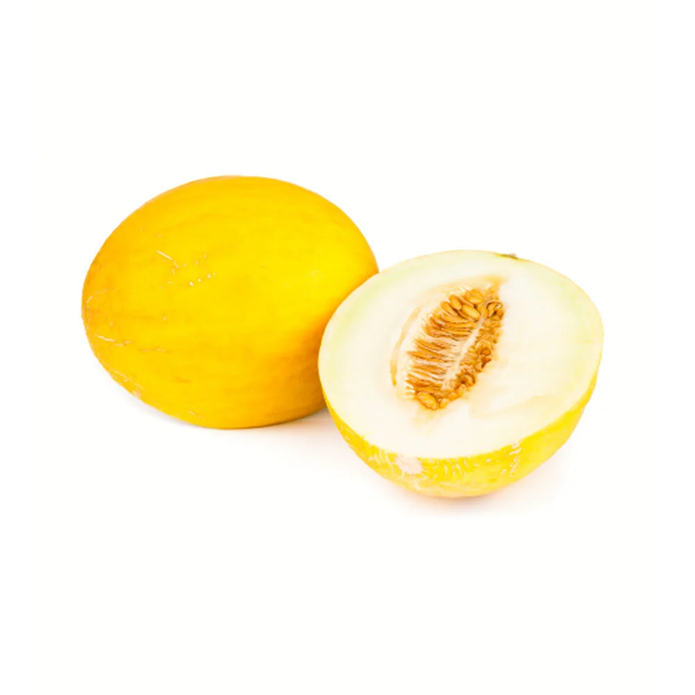 Candy Melon XL AUS —