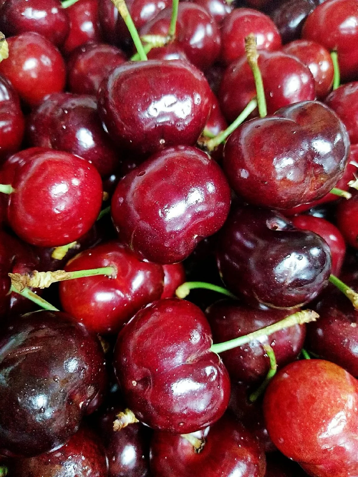 Cherries XXL —