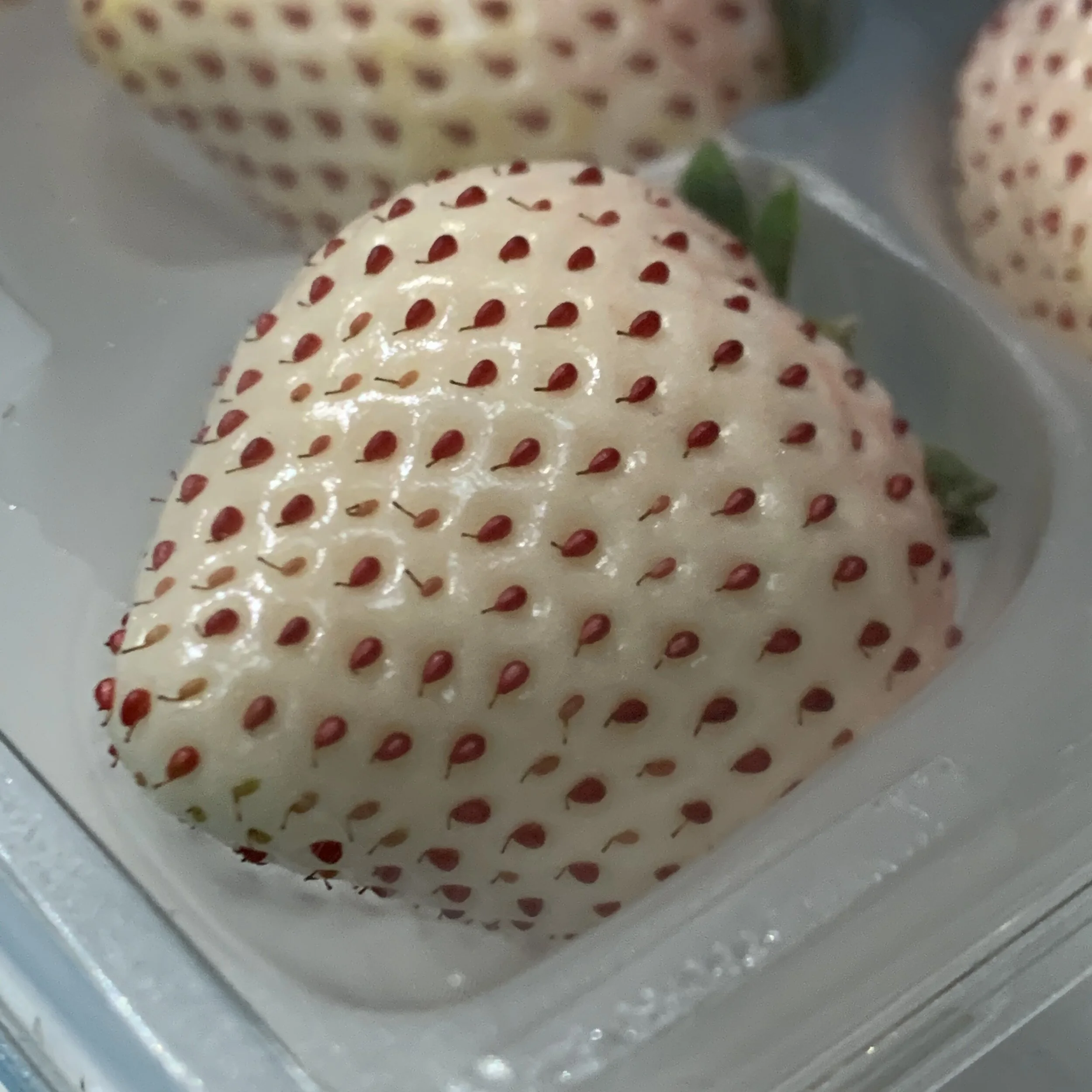 Awayuki White Strawberries (Preorder 2 Weeks) —