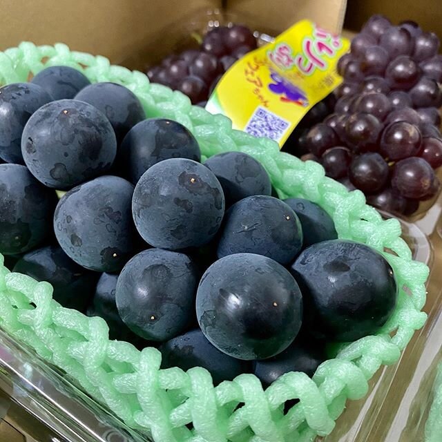 LIMITED SETS - JAPAN GRAPES COMBO
1 PKT OF CHAMPAGNE GRAPES + 1 PKT OF KYOHO GRAPES 
Price Now: $68 ONLY 
UP: $84.90
Cop before it&rsquo;s gone with the wind. 
www.fruitsdeliverysg.com
#fruitsdeliverysg #japangrapes