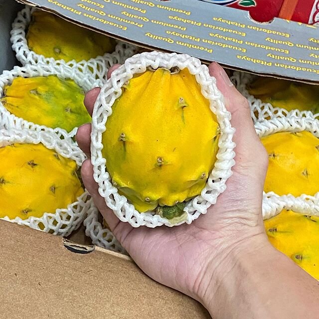 [Father&rsquo;s Day Sale]
Ecuador Yellow Dragonfruit in 3 Sizes
Available at Promo Prices Now! 
From $7.50/pc only! 
Limited quantities only. Grab them before they are gone. 
www.fruitsdeliverysg.com
M Size: $7.50 (15% off!) L Size: $8.90 (20% off!) 