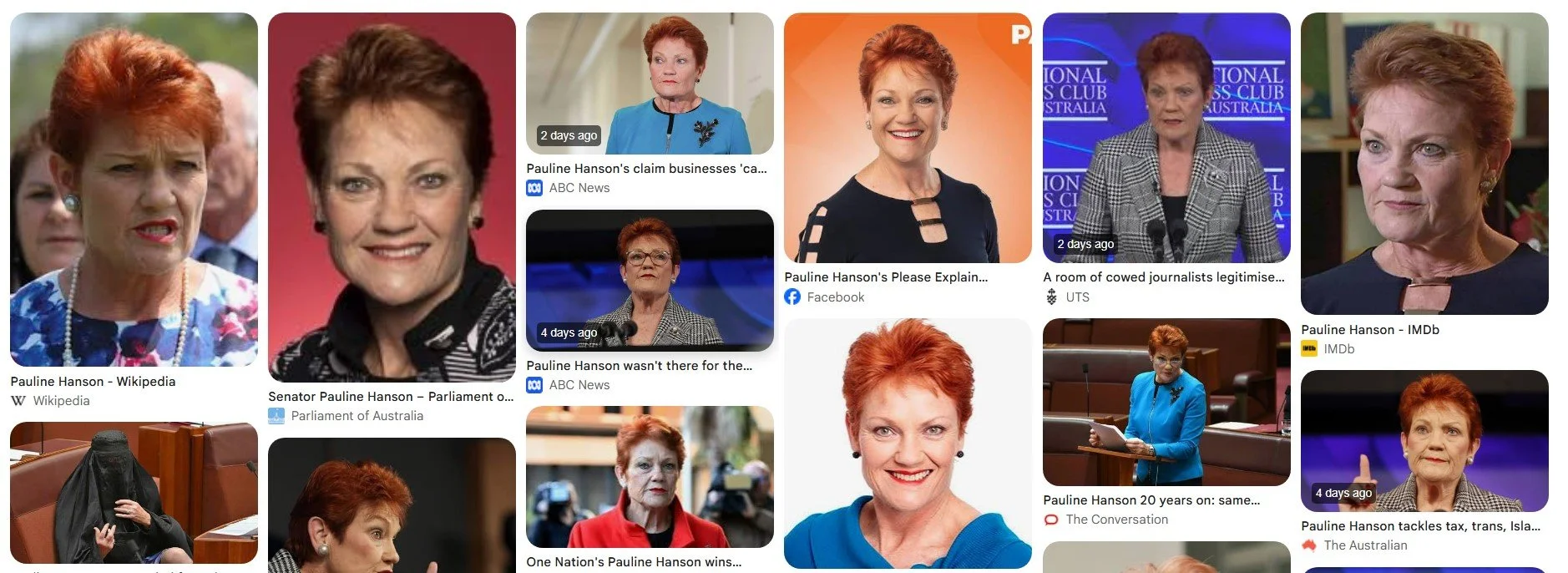 How to beat Pauline Hanson by adopting the John Farnham doctrine (by someone outside the bubble)