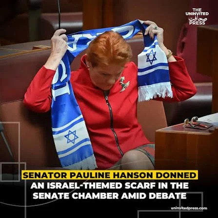How to beat Pauline Hanson (you might not like this) 