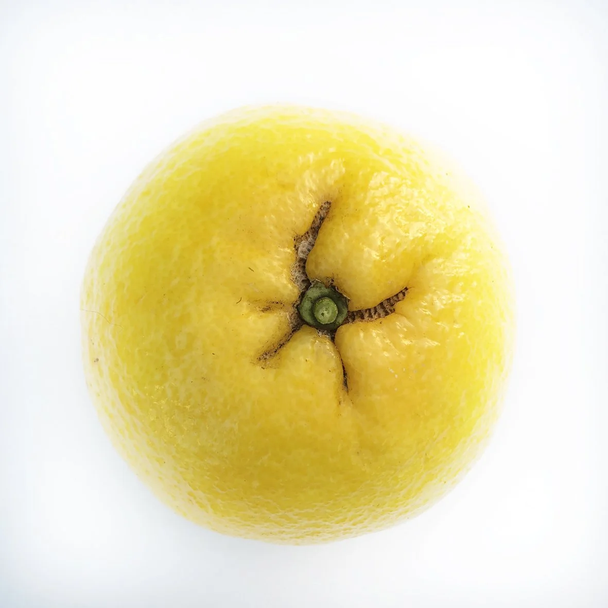 Chironja (1 kg)