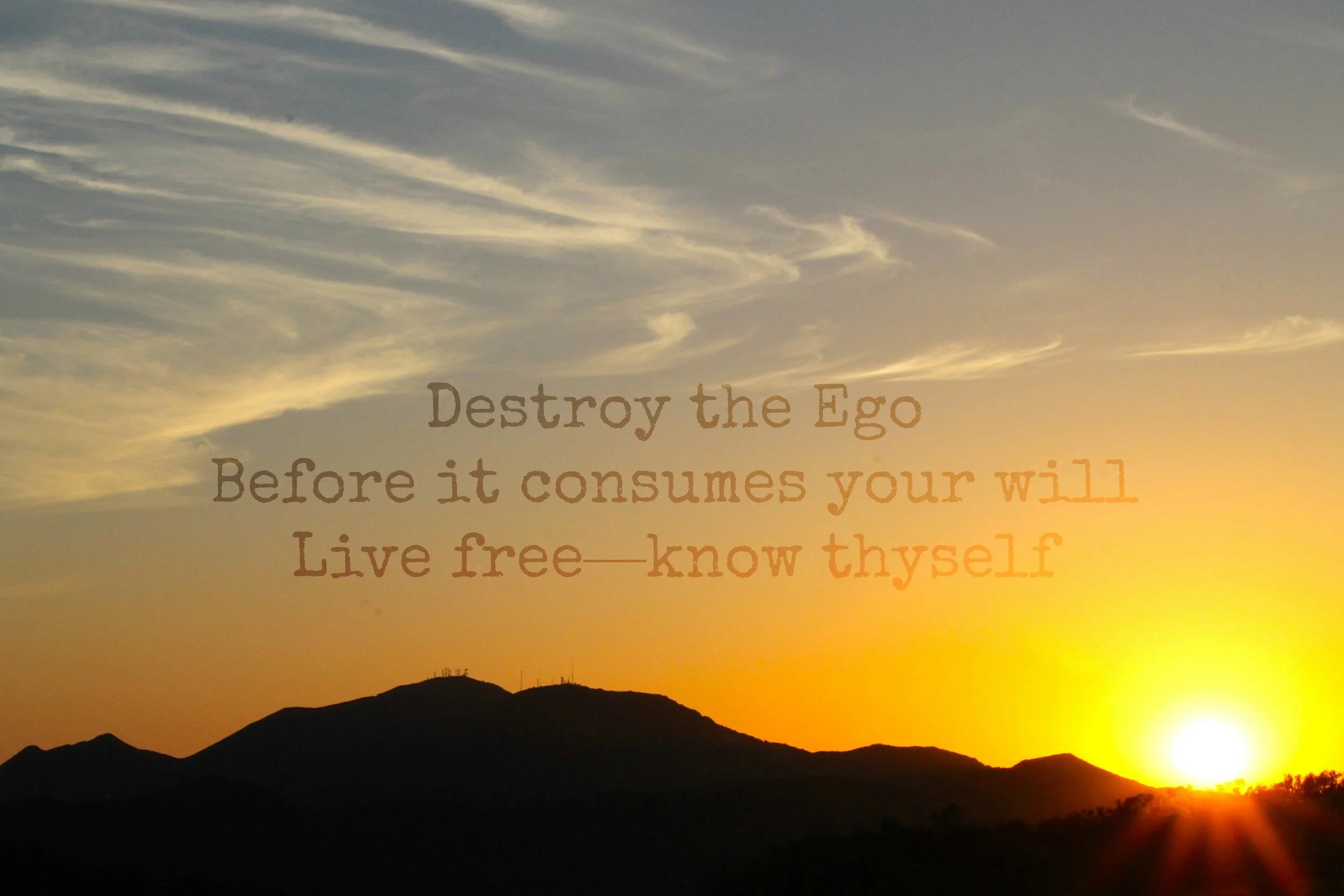 The 5 Ws to Make You Question Your Existence 