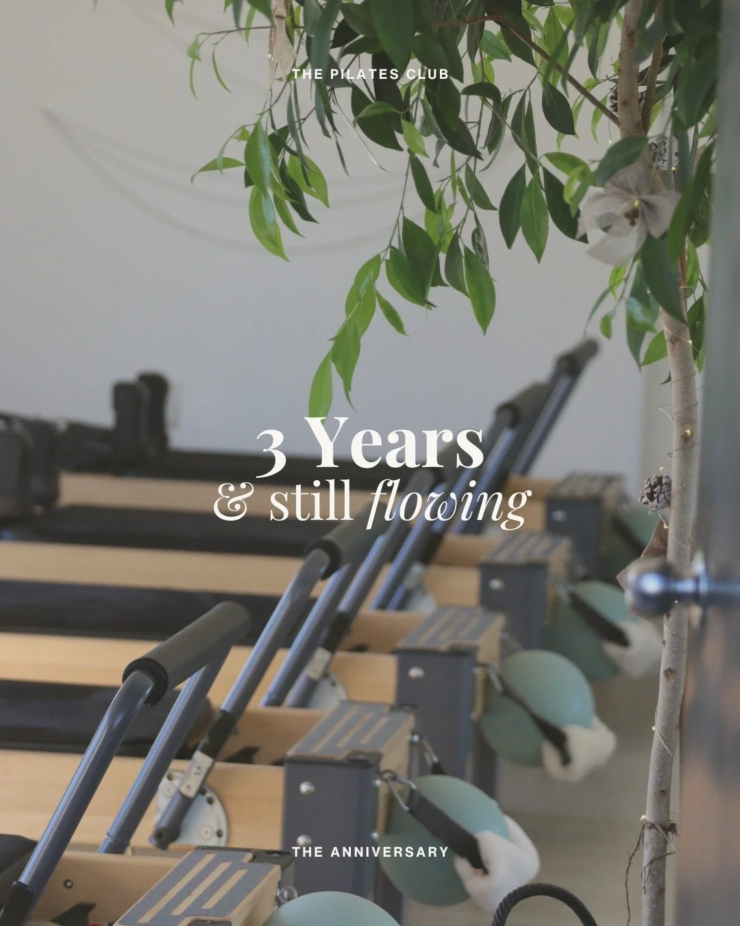 Three years of TPC.

Three years of small classes, big attention. Of mornings in the olive grove. Of watching this community find their pace and their power, week after week.

The Pilates Club has had a few homes. It began in Riverhead, spent a seaso