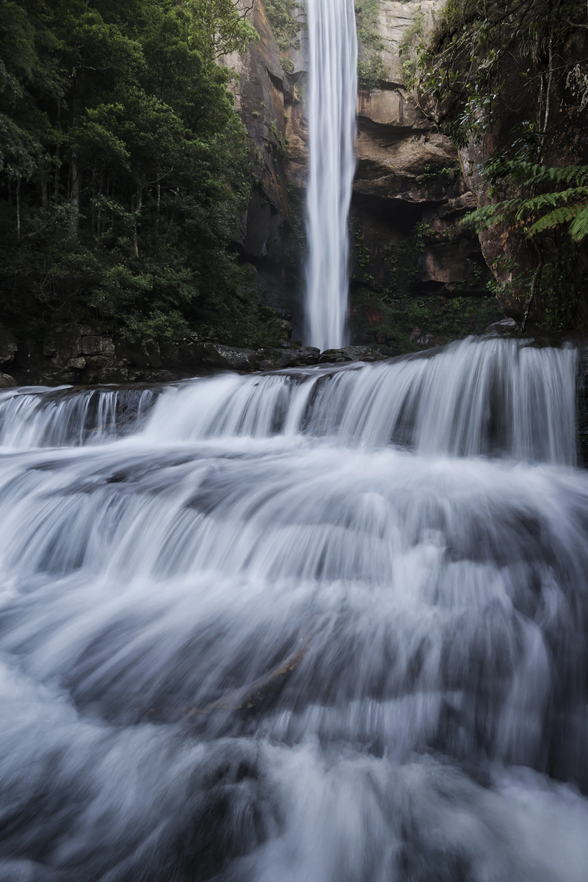 Belmore Vert (3000).jpg