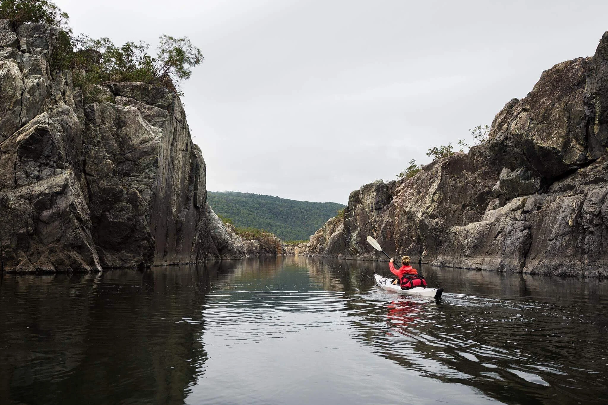 Photo 8-2-18, 6 25 14 pm.jpg