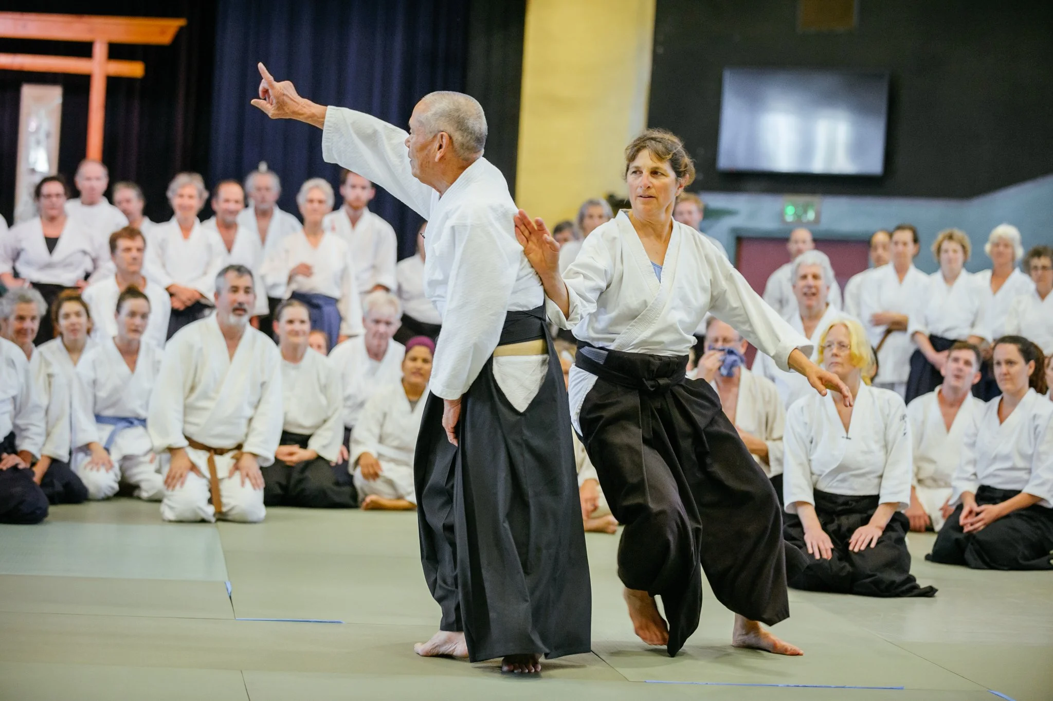 ANNO.SENSEI-2017-SCASR-187.jpg
