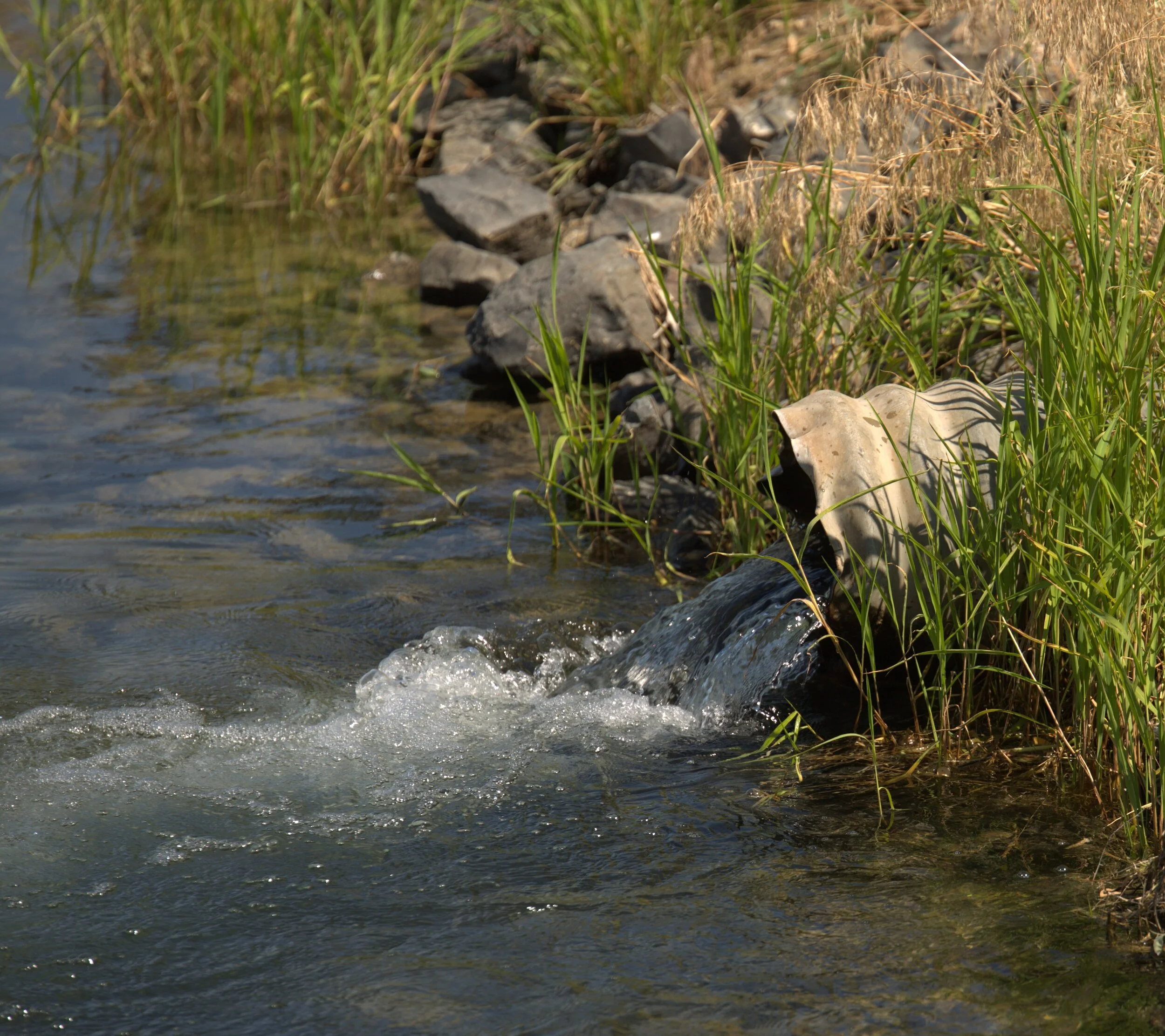 2020 WATER SHUTOFF DATES