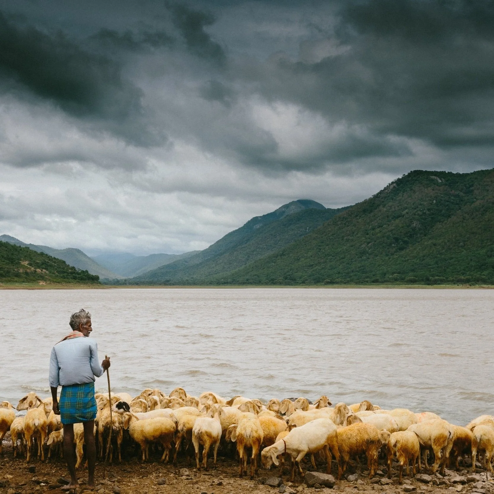 The Shepherd and the Father (Hebrews 11:8-12) - Paul Hadik