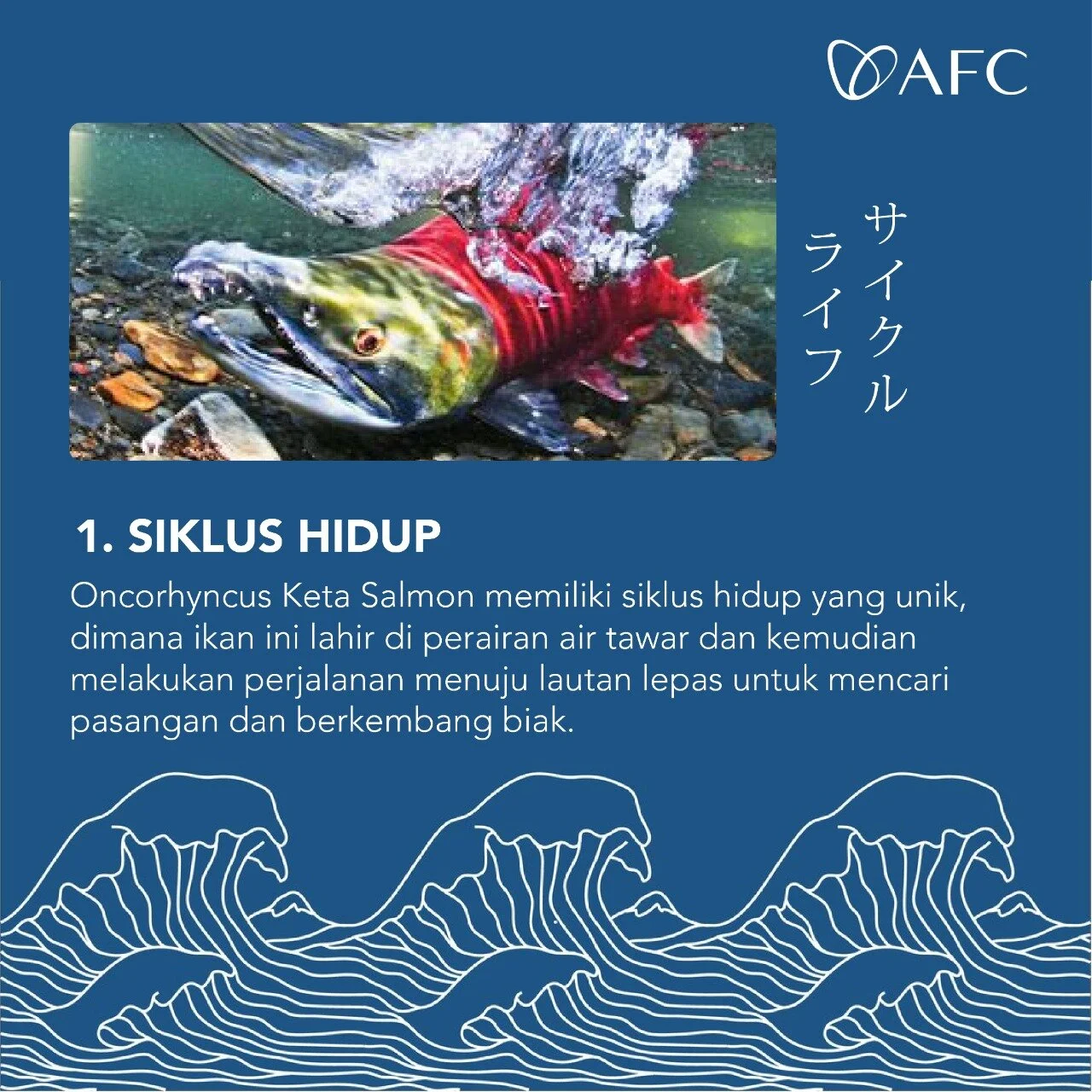 6f1d14ea-b0a5-4354-b9d2-073275c8c671.jpg