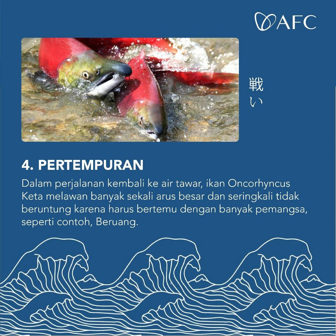 c19bd15b-309a-48db-8c68-a0abd44372d6.jpg